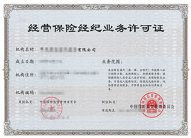 **保险经纪有限公司