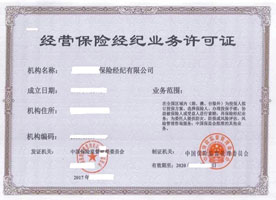 **保险经纪有限公司