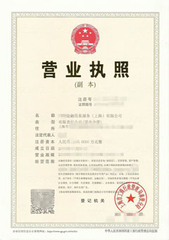 **金融信息服务有限公司