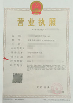 **金融信息服务有限公司